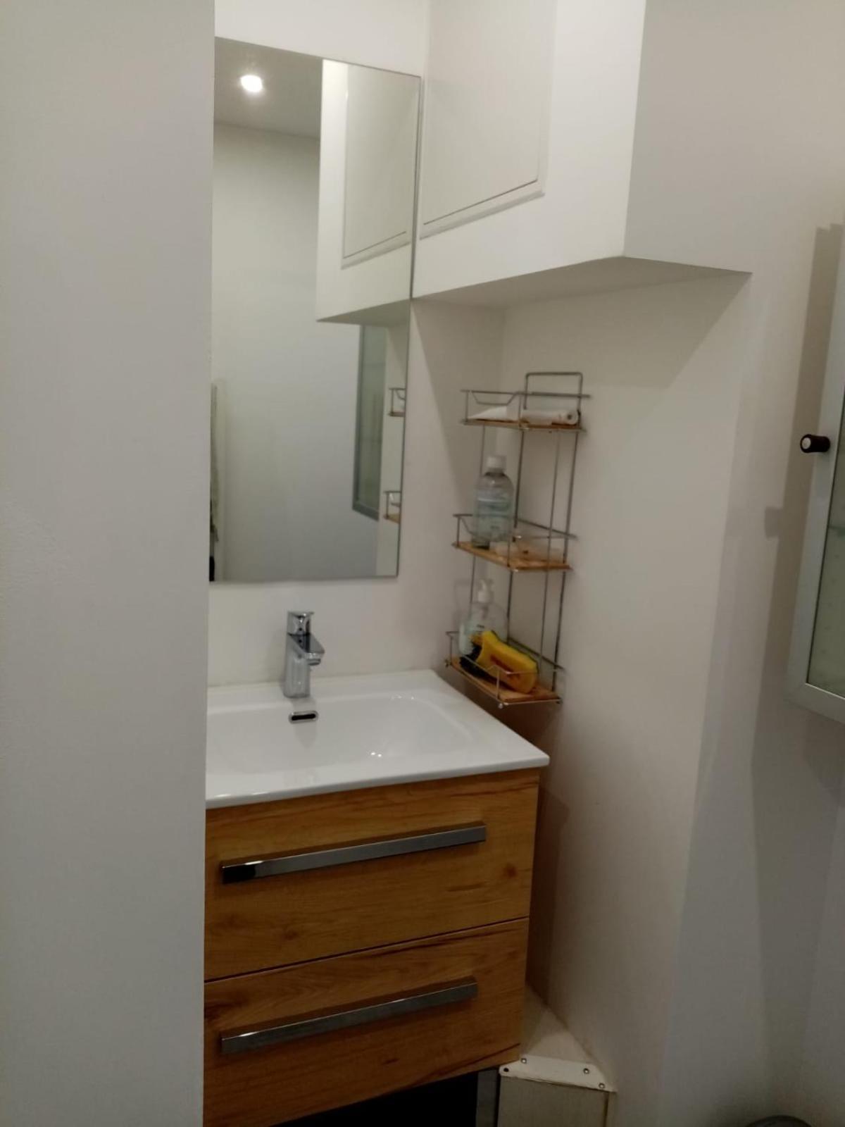 Appartement T4 Des Jardins Chambéry Eksteriør billede